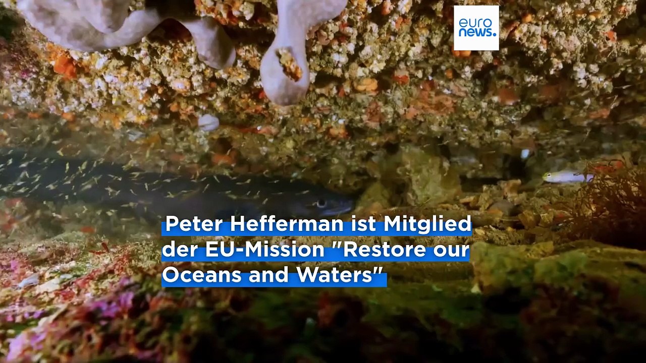 Meeresforscher: 'Der Ozean ist unser größter Garant gegen die Klimakrise'