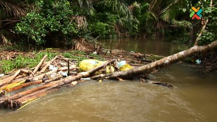 En el seno de Madre de Dios, la contaminación sale a flote y destruye un paraíso natural