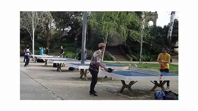 Ping Pong Power: 15 Mind-Blowing Facts That Will Change How You See Table Tennis! 🏓⚡