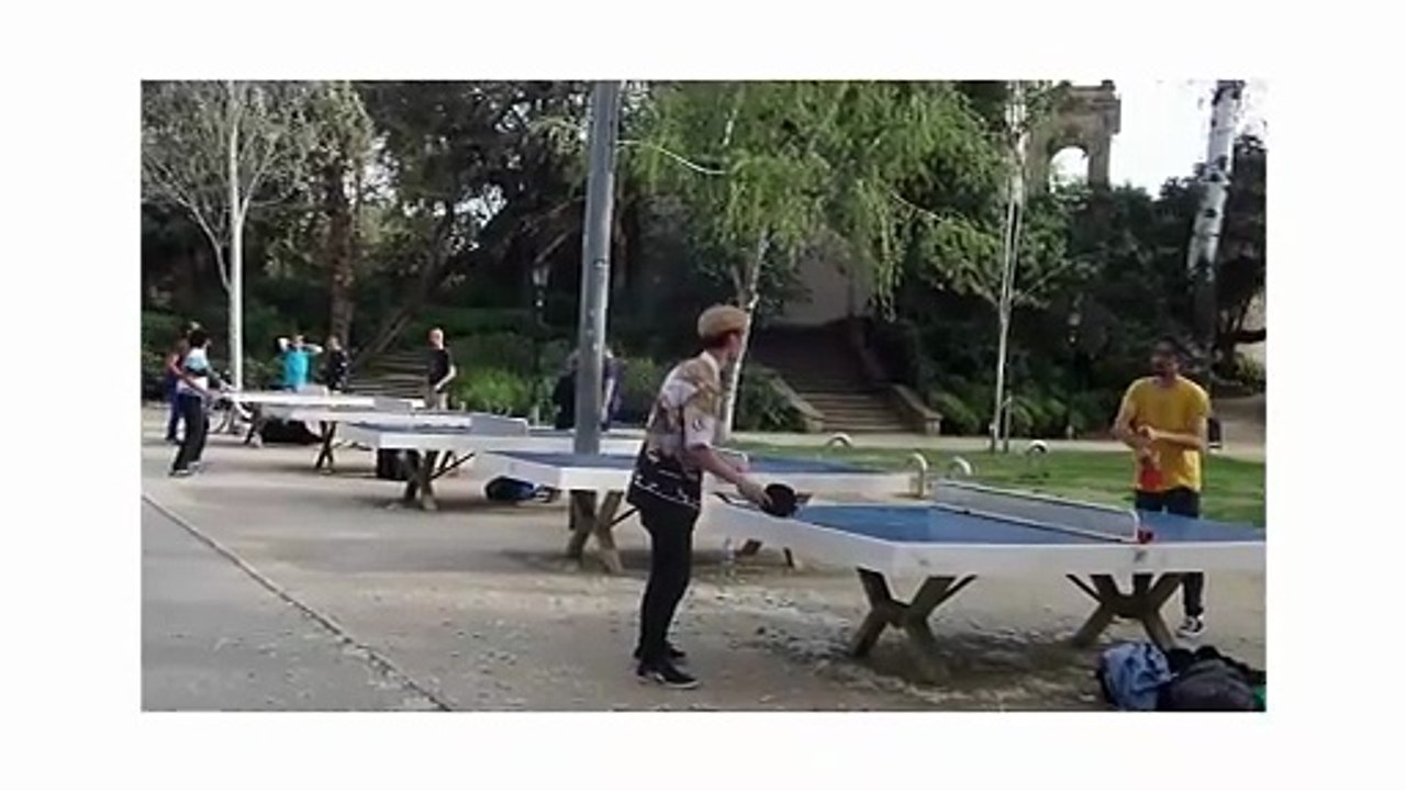 Ping Pong Power: 15 Mind-Blowing Facts That Will Change How You See Table Tennis! 🏓⚡