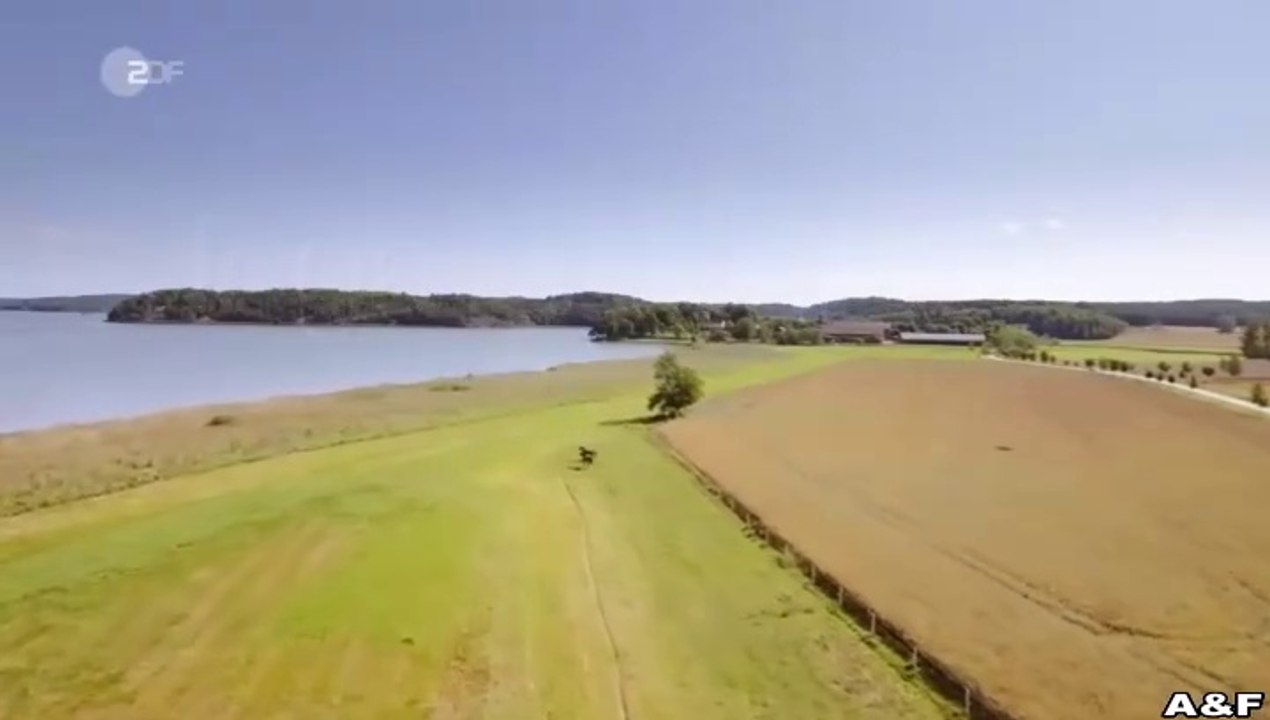 Inga Lindström -073- Entscheidung für die Liebe