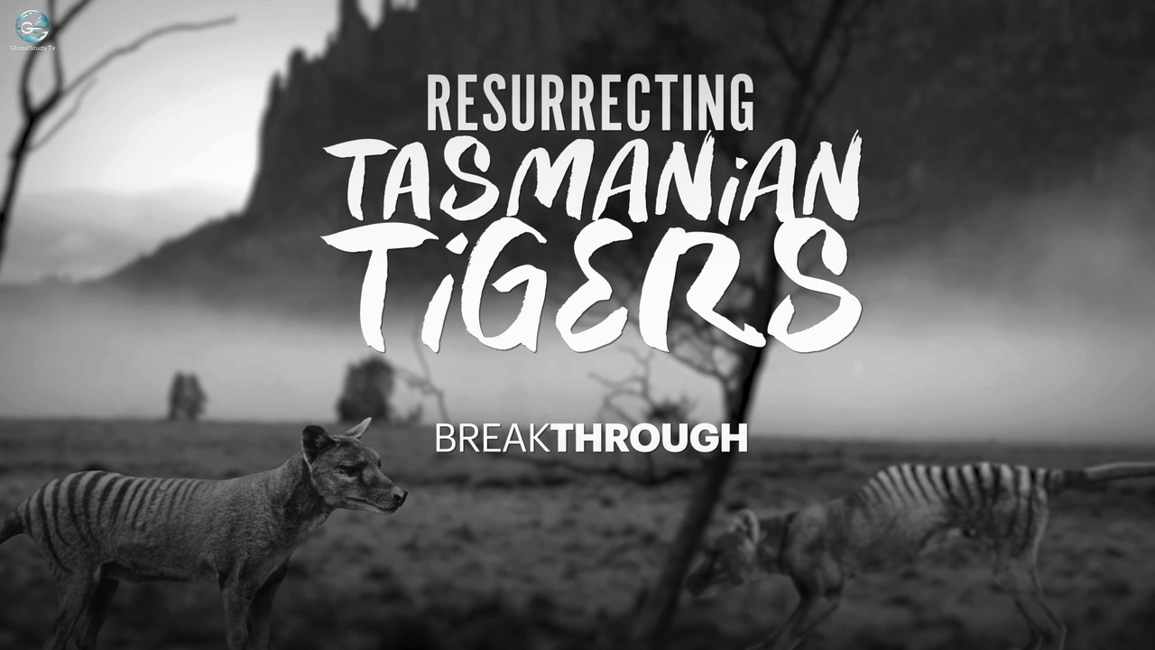 Tasmanian Tiger Resurrection? You Won’t Believe What Scientists Are Doing!
