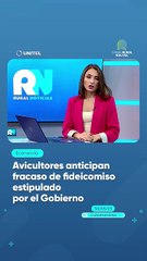 Avicultores anticipan fracaso de fideicomiso estipulado por el Gobierno