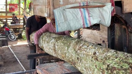 Calibration of the Sawmill Machine for Perfect 2x25 Wood Cuts