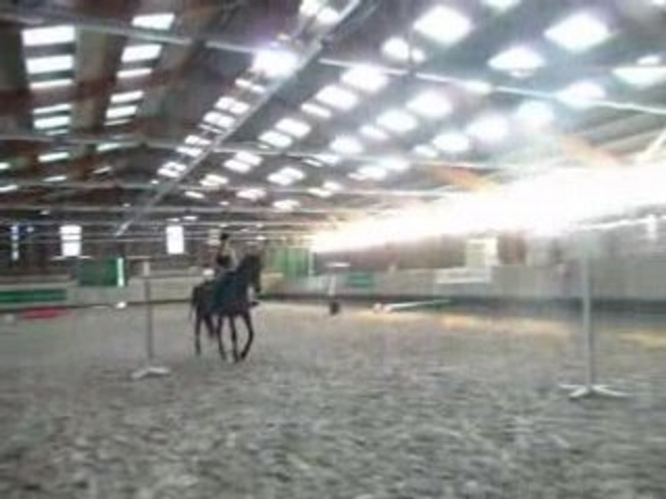 Cheval Vanessa