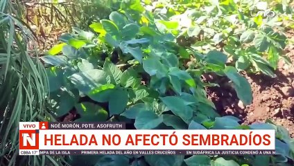 HELADA EN VALLEGRANDE