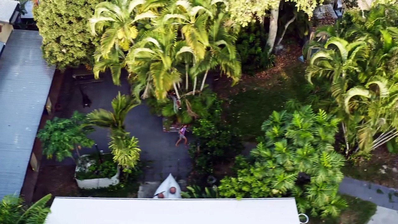 | show | 2021| S2 | Official Trailer