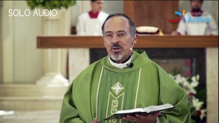 Homilía La maternidad y la feminidad en riesgo