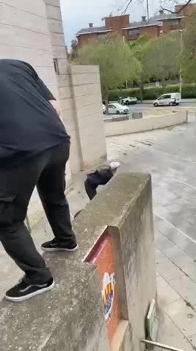 Cyclist Hits Wall And Flips Mid Air Landing Smoothly