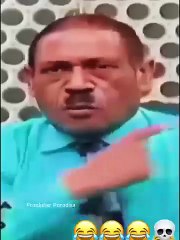 Funny Animal Videos - Funniest Kittens - Cats And