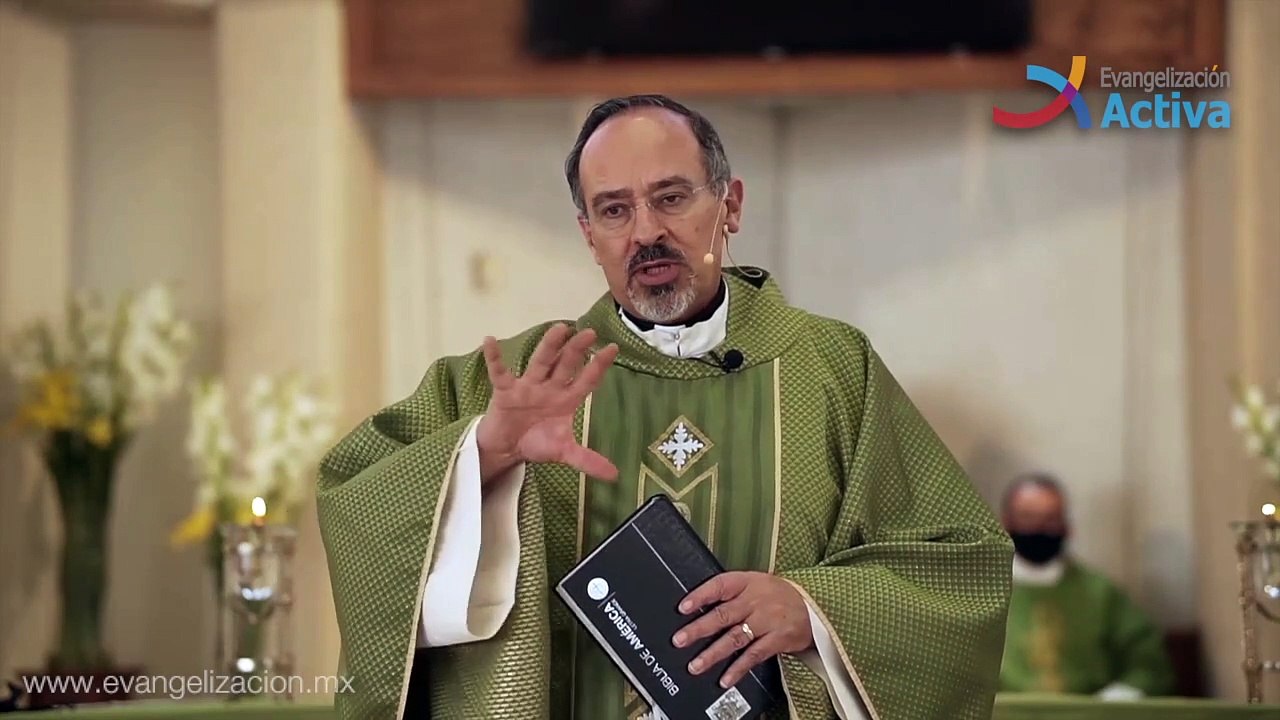 Homilía ¿Qué tan grande es tu fe