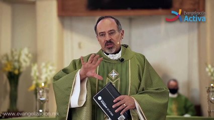 Homilía ¿Qué tan grande es tu fe