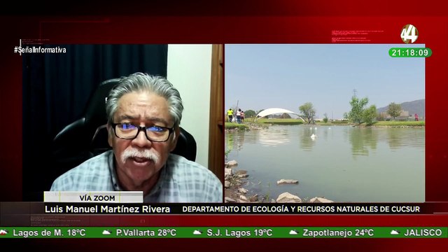 Luis Manuel Martínez habla del hallazgo de decenas de peces muertos en orilla del lago de Chapala
