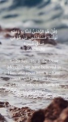 67:29 کہو کہ وہ بڑا رحم کرنے والا ہے، ہم اس پر ایمان لائے اور اسی پر بھروسہ کیا، اور تمہیں معلوم ہو جائے گا کہ صریح گمراہی میں کون ہے۔