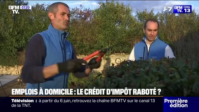 Jardinier, cours particulier à domicile ou babysitter... Le crédit d'impôt pour les emplois à domicile bientôt raboté?