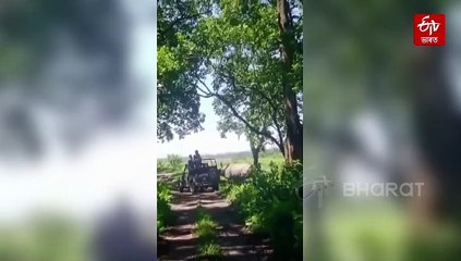 হঠাৎ গঁড়ৰ উঠিল খং; খড়্গৰে দাঙি পৰ্যটকৰ জীপ ওলোটাবলৈ চেষ্টা এশিঙীয়াৰ