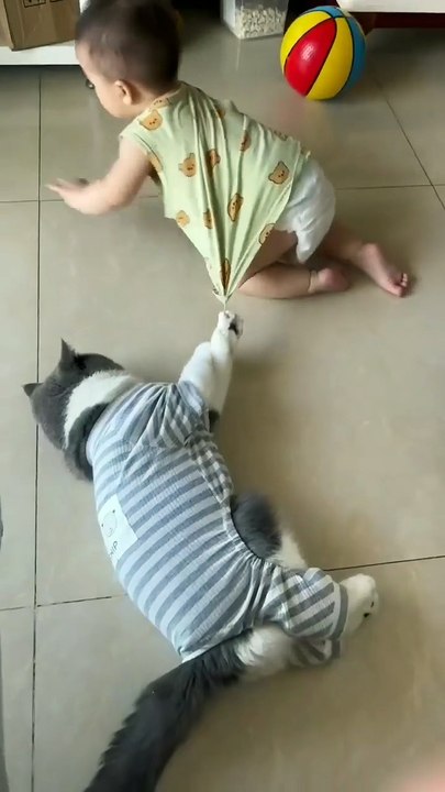 Baby's vs cats new viral funny video 😂📸 funny baby's new viral video 📸 cat lover 😍🤣 animals love 😘 baby's fun 🤣😊#shorts #shortvideos #viralvideos #viralshorts #funny #funnyvideos #comedy #kids #animals #love #care