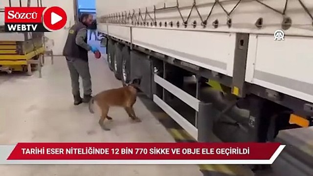Kapıkule'de tırda tarihi eser niteliğinde 12 bin 770 sikke ve obje ele geçirildi