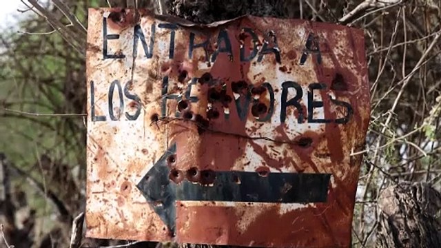 La violencia del narco golpea a un grupo de músicos de corridos en México