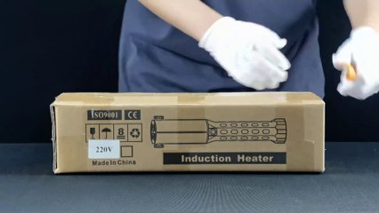Solary H7-3 Induction Heater unboxing video