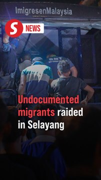 225 premises in Selayang raided in checks on undocumented migrants