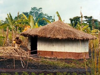 The African Queen (1951) – Epic Jungle Adventure Classic