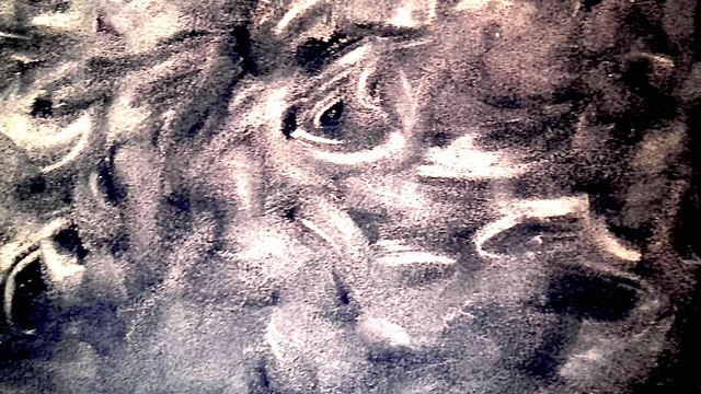 IN WILD REFLECTIONS II