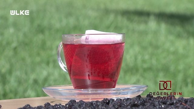 Değerlerin Daveti - Yalova - Aronya | 31 Mayıs 2025