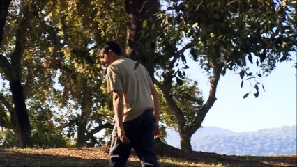 World's Best and Most Expensive Ham_ Acorn Ham (Jamón Ibérico) _ Free Documentary