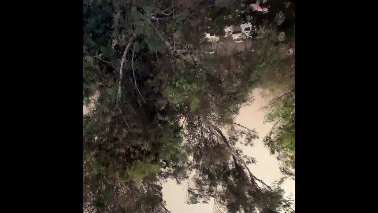 Storm