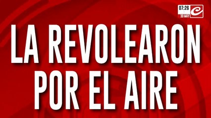 Tremendo: quisieron roba una perrita y la revolearon por el aire