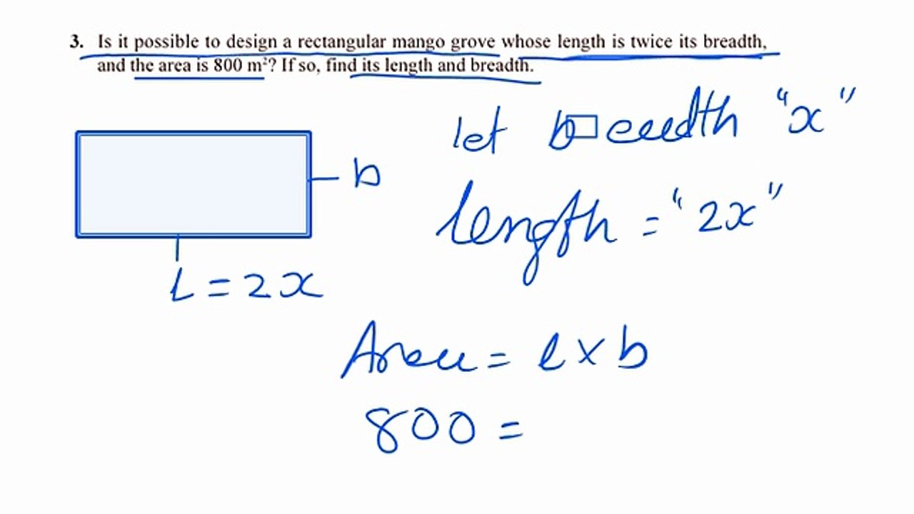 Class 10 Maths | Quadratic Equations Exercise 3 Q 3