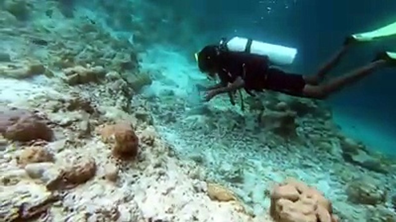 Baa Atoll 🌴  Teaching Dreams & Island Life in the Maldives 🇲🇻 [4K]