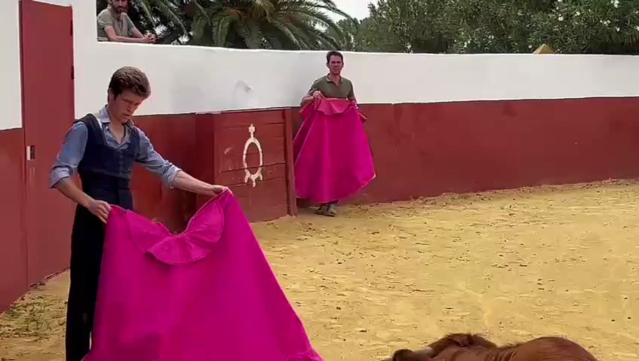 palmosilla recitador