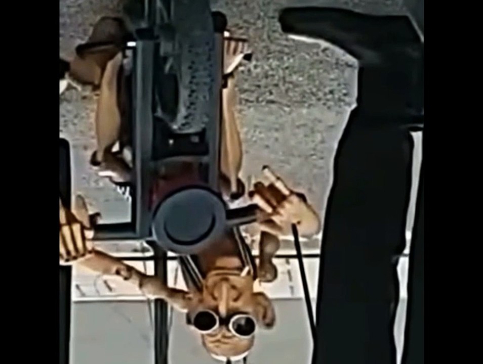 Real puppet
