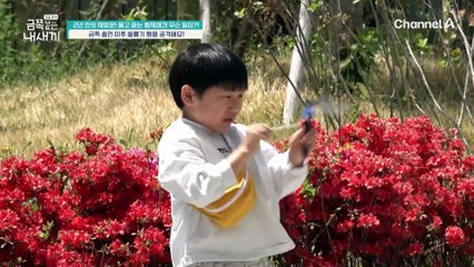 다정한 형이 된 첫째와 방송 이후 달라진 둘째...? 가족들을 공격하고 상처 입히기까지...♨