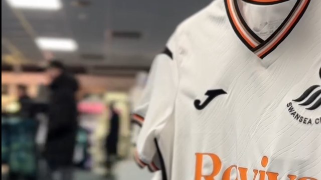 Swansea City’s best moments from challenging campaign that Alan Sheehan managed to revive