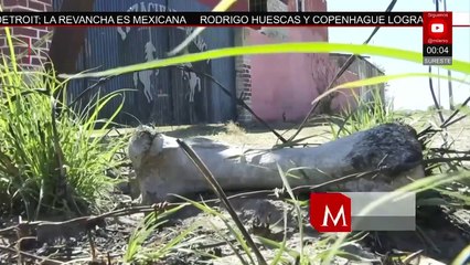 Siguen las investigaciones por el caso del Rancho Izaguirre