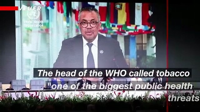 WHO Says This Specific Thing is One of the Biggest Public Health Threats