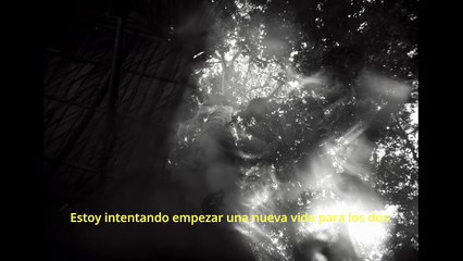 Retrato de un cierto Oriente - Tráiler oficial VOSE