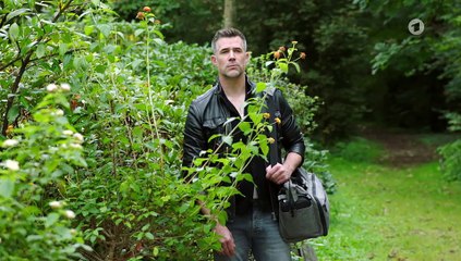 Sturm der Liebe 4429 folge