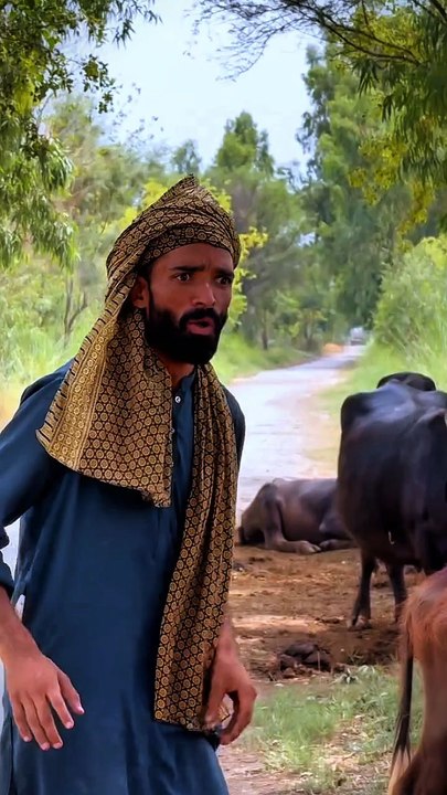 Gobar Ki Jaga Paisy dainy Wali Gai 😁