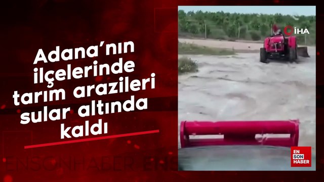 Adana'nın ilçelerinde tarım arazileri sular altında kaldı