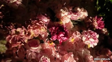 Nel mondo dell'entertainment italiano sbarca THE CORP