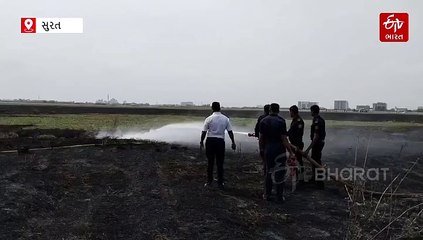 સુરત એરપોર્ટ પર પક્ષી ભગાડતા ફોડેલા ફટાકડાથી આગ લાગી, કલાકો સુધી ફ્લાઈટ્સનું સંચાલન ખોરવાયું