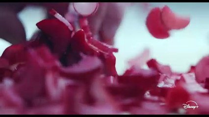 O Urso (4ª Temporada) | Trailer Dublado