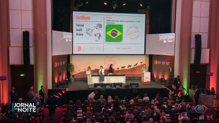 Brasil está livre da febre aftosa sem vacina