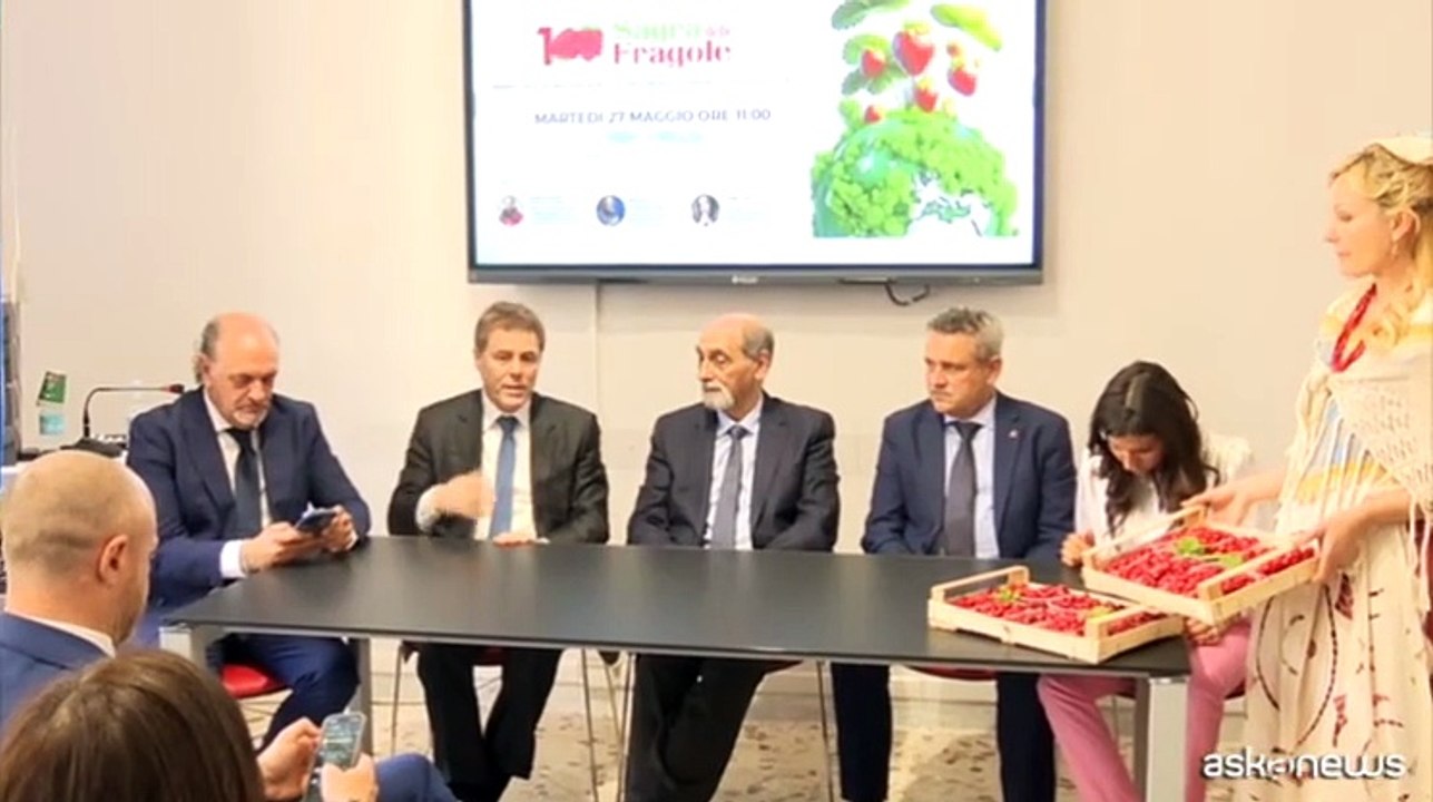 Presentata l'edizione 2025 della Sagra delle Fragole di Nemi