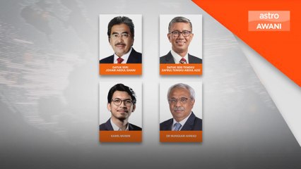 Ahli politik atau teknokrat, siapa yang layak ganti Rafizi?