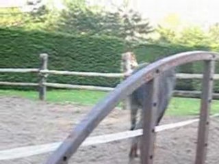 ruedo qui se défoule